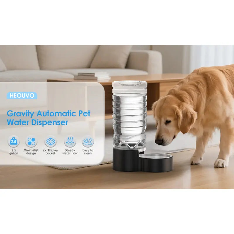 2.5 Gallon Automatic Dog Water Dispenser with Wide Mouth for Easy Cleaning and Removable Stainless Steel Bowl, Ideal for Multi-Pet Homes
