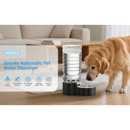 2.5 Gallon Automatic Dog Water Dispenser with Wide Mouth for Easy Cleaning and Removable Stainless Steel Bowl, Ideal for Multi-Pet Homes