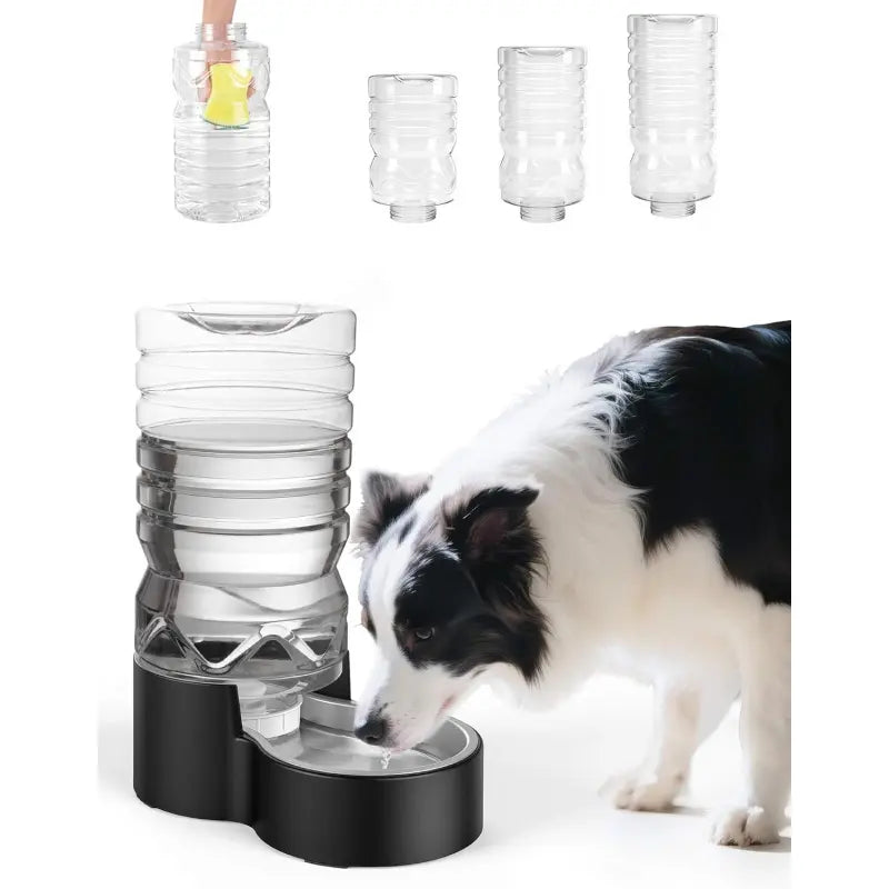 2.5 Gallon Automatic Dog Water Dispenser with Wide Mouth for Easy Cleaning and Removable Stainless Steel Bowl, Ideal for Multi-Pet Homes